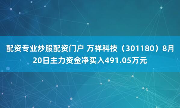 配资专业炒股配资门户 万祥科技（301180）8月20日主力资金净买入491.05万元
