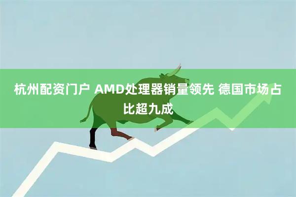 杭州配资门户 AMD处理器销量领先 德国市场占比超九成